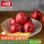 青蘋果水晶光澤玻璃水果盤輕奢家用客廳會(huì)所婚慶裝飾8.5英寸