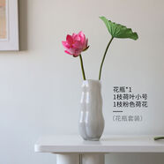 宰摟午睡花瓶復(fù)古擺件客廳玻璃透明水養(yǎng)插花瓶輕奢感桌面復(fù)古水培花器 花瓶大號(hào)+一枝粉荷花+一枝小荷葉