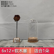 軟木塞玻璃罩展示盒diy玻璃瓶干 干燥花相框保存瓶收納永生花防塵 6x12+軟木塞[適合1朵玫瑰]