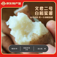 遼西文君【遼寧特產(chǎn)】葫蘆島市甘薯紅薯蜜薯烤地瓜糖心綠色食品廠(chǎng)家直郵 遼西文君2號4.5斤適合烤、蒸白瓤