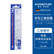 施德樓（STAEDTLER）HB鉛筆12支 三角木桿彩色鉛筆小學(xué)生專(zhuān)用考試涂卡一二年級美術(shù)素描繪圖筆 粉黑條紋118 HB-209