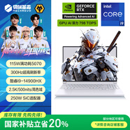 機械革命【國家補貼20%】極光X 酷睿i9HX 游戲本筆記本電腦(i9-14900HX 32G 1T RTX5070 2.5K屏 300Hz 白)