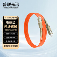 普聯(lián)光迅 電信級光纖跳線(xiàn) 千兆多模單芯SC-SC接口 低煙無(wú)鹵阻燃抗拉耐磨 機房光纖尾纖 30米 PL-ROM2-SG08