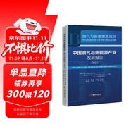 中國(guó)油氣與新能源產(chǎn)業(yè)發(fā)展報(bào)告：2021