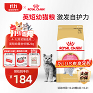 皇家貓糧 英短幼貓糧 BSK38 通用糧 4-12月 2KG