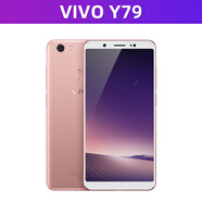 vivo水滴屏vivoY91/Y79安卓智能低價(jià)市場(chǎng)手機(jī) 顏色隨機(jī) 8薪_vivoy663+32G