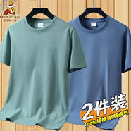 稻草人新款夏季純棉短袖T恤男款圓領(lǐng)寬松薄款休閑時(shí)尚純色半袖T恤打底衫 LMDX豆綠+霧霾藍 XL 【推薦120-135斤】