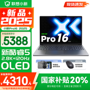 聯(lián)想小新Pro16/GT 2025補貼 AI元啟可選 輕薄筆記本電腦 高刷大屏辦公設計游戲本 人臉識別 旗艦標壓 Core5 220H｜24G 1TB｜Pro版 16英寸 超高清120Hz