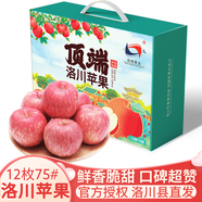 洛川蘋(píng)果陜西延安特產(chǎn)紅富士時(shí)令蘋(píng)果水果禮盒送蘋(píng)果生鮮新鮮脆甜整箱批發(fā) 12個(gè)75mm 嚴(yán)選果 禮盒裝