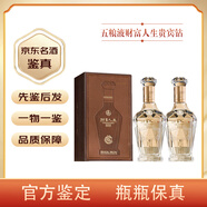 五糧液（WULIANGYE）【名酒鑒真】 五糧液財富人生52度濃香型白酒禮盒裝送禮收藏自飲 500mL 2瓶 五糧液財富人生貴賓鉆