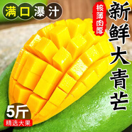 山姆大叔正宗大青芒果【多地次日達(dá)】可生吃酸脆芒果新鮮水果禮盒非金煌芒 御品老樹果｜500g+【甜爆了】 9斤裝【家庭自由暢吃】凈8.5斤
