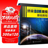 橋梁BIM建?；A(chǔ)教程