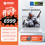 機械革命極光X/極光XPro 2025新款 16英寸高性能游戲本筆記本電腦  英特爾酷睿HX 滿血RTX5060/5070/5070Ti i7-13700HX|5060|16+1TB|