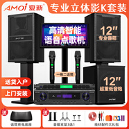 夏新家庭ktv音響套裝點歌機卡拉ok點唱一體機家用家庭影院K歌會議室設(shè)備全套電視客廳音箱專業(yè)唱歌組合 專業(yè)豎箱十二寸立式7件套+十二寸重低音炮