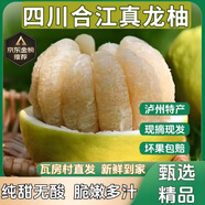 四川合江真龍柚【產(chǎn)地直發(fā)】瀘州白心柚沙田柚文旦柚新鮮現摘禮盒 正宗四川真龍柚【自家果園   甄選好果】 1個(gè)裝【嘗鮮裝】單果2-2.3斤