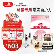皇家幼貓奶糕 幼貓貓糧 BK34 通用糧 1-4月 10KG