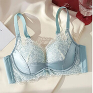 妮姬塔（NIJITA）無(wú)痕內衣女 小胸聚攏顯大胸上托調整防下垂 減齡甜美背無(wú)鋼圈文胸 雀藍色內衣 L 36/80