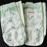 好奇（Huggies）好奇韓國天然之選紙尿褲NBM寶寶超柔軟拉拉褲LXLXX竹子款 竹子單片體驗裝L拉拉褲5片 1包