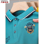 凡客誠品【雷軍同款】夏季男士短袖T恤翻領(lǐng)高端雙刺繡POLO衫原單純棉保羅 805黑色 2XL 180【160-175斤】