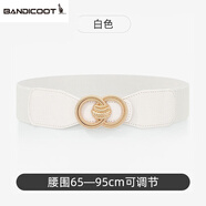 時(shí)尚風(fēng)格袋鼠寬腰帶女裝飾配裙子連衣裙彈力腰封松緊皮帶女生襯衫裙帶夏季百搭 白色