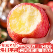 洛川蘋果陜西延安特產(chǎn)紅富士時令蘋果水果禮盒送蘋果生鮮新鮮脆甜整箱批發(fā) 5斤75-80mm（凈重4.5斤）中果