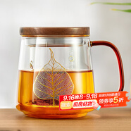 雅集玻璃杯一葉菩提杯500ml男女士辦公家用耐熱玻璃泡茶茶水分離杯子
