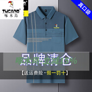 啄木鳥（TUCANO）2025年男士短袖t恤polo 衫中年爸爸夏裝真口袋冰絲薄款半袖 藍(lán)色XH603真口袋 M 165建議90-120斤