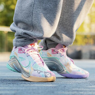 耐克（NIKE）男鞋春季新款LEBRON詹姆斯防滑耐磨透氣休閑運動籃球鞋 FZ1098-100 白綠粉藍(lán)/22代 44