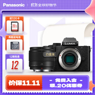 松下（Panasonic）Lumix G100D M43畫幅相機(jī) M43卡口 微單相機(jī) 無(wú)反數(shù)碼相機(jī) G100D單機(jī)+【25mmF1.7】單鏡頭定焦