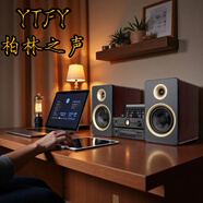 YTFY 德國進(jìn)口 柏林之聲 組合音響發(fā)燒音箱膽機迷你臺式dvd桌面hifi套裝cd藍牙電子管功放 6.5寸香檳金色音箱帶碟機
