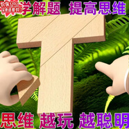 語(yǔ)森憶T字之謎四巧板智力拼圖拼板木制百變t字板小學(xué)生兒童專用益智玩具 思維啟蒙-激發(fā)潛力 1套(4塊積木+共99道圖形)