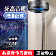 其他家骨傳導共振音箱小型室內戶(hù)外車(chē)載家用無(wú)線(xiàn)大音量重低音藍牙音響 旗艦版+全配件+無(wú)需撐桿更美觀(guān)