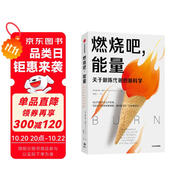 燃燒吧，能量 中信出版社