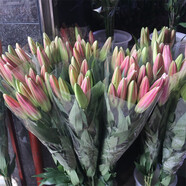 芊芊細語(yǔ)斗南基地直批發(fā)玫瑰鮮花全國速遞配送女友禮物家用水養插花家庭 精選--隨機百合10朵+送保鮮劑