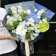 薇尼（LVINI）新年元旦鮮花同城速遞郁金香高級花生日禮物北京上海廣州西安武漢 繡球白玫瑰混搭花束 （繁華蔥郁） 指定日期時(shí)段 請留言