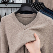七匹狼夾克專(zhuān)家旗艦男士羊毛衫V領(lǐng)全羊毛加厚純色針織毛衣冬季套頭基礎羊毛衫男 MQD2016米駝 M 165/105