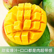四川攀枝花凱特芒果10整箱斤應(yīng)當(dāng)季新鮮水果特大芒果青皮芒果 5斤 商超巨無(wú)霸[單果1.5斤左右]甄