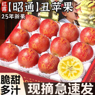 粵迎云南昭通丑蘋(píng)果冰糖心丑蘋(píng)果脆甜水果現摘好吃脆甜多汁好吃不貴 5斤優(yōu)選裝【脆甜多汁】?jì)?.5斤