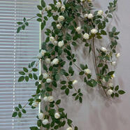 仿真茶苞奧格斯花藤植物墻花墻裝飾家居空調藤椅吊籃管道裝飾假花 奧格絲-白色-54花[裝飾好看]