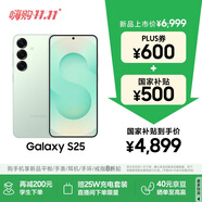三星S25 512GB國(guó)家補(bǔ)貼 超擬人AI助理 驍龍8至尊版 AI拍照 翻譯手機(jī) 游戲手機(jī) 清霜綠