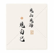 掌閱Ocean4/32保護套turbo磁吸7寸iReader2025殼4c休眠color7皮套 勿拍-這是掌閱掌閱【不是kindle】