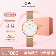 丹尼爾惠靈頓（DanielWellington）DW女士手表時(shí)尚經(jīng)典歐美表女28mm石英表七夕禮物 DW00100219