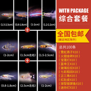 OIMG熱帶淡水活體觀(guān)賞寵物魚(yú)小型寶蓮燈斑馬紅綠燈孔雀群游魚(yú)苗燈科魚(yú) 明黃色_綜合燈科魚(yú)100條