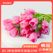 京東鮮花云南昆明基地直發(fā)郁金香20支