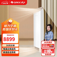 格力（GREE）3匹王者柜機 新一級能效 變頻冷暖 高溫自潔 立柜式空調柜機 KFR-72LW/(72518)FNhAb-B1(WIFI)