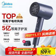 美的（Midea）5億等離子護(hù)發(fā)電吹風(fēng) 家用負(fù)離子吹風(fēng)筒 1800W大功率 便攜吹風(fēng)機(jī) FJ308藍(lán) 節(jié)日/生日禮物推薦 