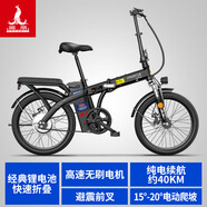 溫氏鳳凰;WEN＇S PHOENIX鳳凰20寸折疊鋰電池電動腳踏車男女可攜式碟煞電動車代步代 黑色輻條輪10AH電動續(xù)航 48V0Ah