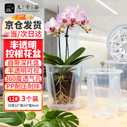 九千谷透明控根盆蘭花盆水苔蝴蝶蘭花盆塑料透氣家用帶托盤(pán)12cm3個(gè)0084