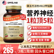 Oppuland葉酸維生素b12片甲鈷胺片營(yíng)養神經(jīng)的藥成人修復腰椎耳鳴神經(jīng)痛 【強效升級】葉酸甲鈷胺 雙倍滋養 120粒*1瓶