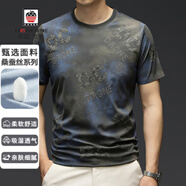 AEMAPE美國蘋(píng)果高端桑蠶絲t恤男短袖夏季新款圓領(lǐng)印花涼感透氣半袖體恤 灰色 4XL 190